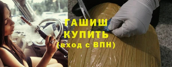 индика Волоколамск