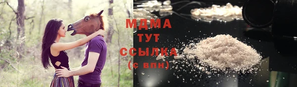 индика Волоколамск