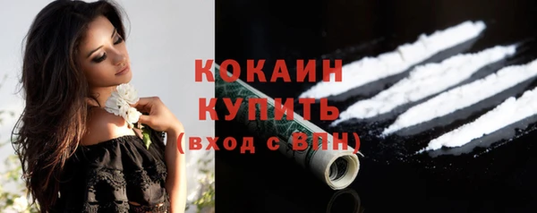 индика Волоколамск