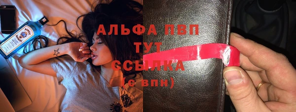 индика Волоколамск